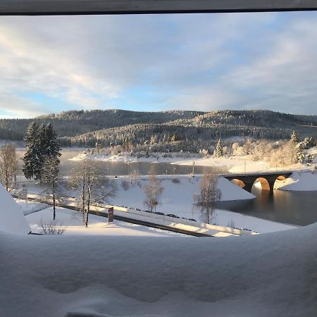 Appartement Sunset, 28Qm Schluchsee Exterior photo